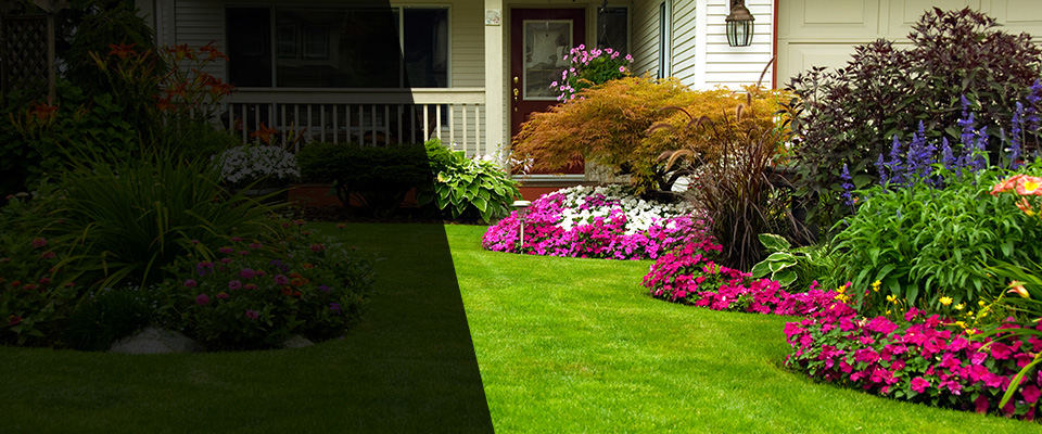 Blakeslee Landscapers