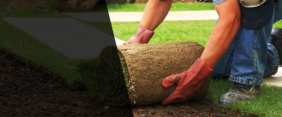 Blakeslee Landscapers